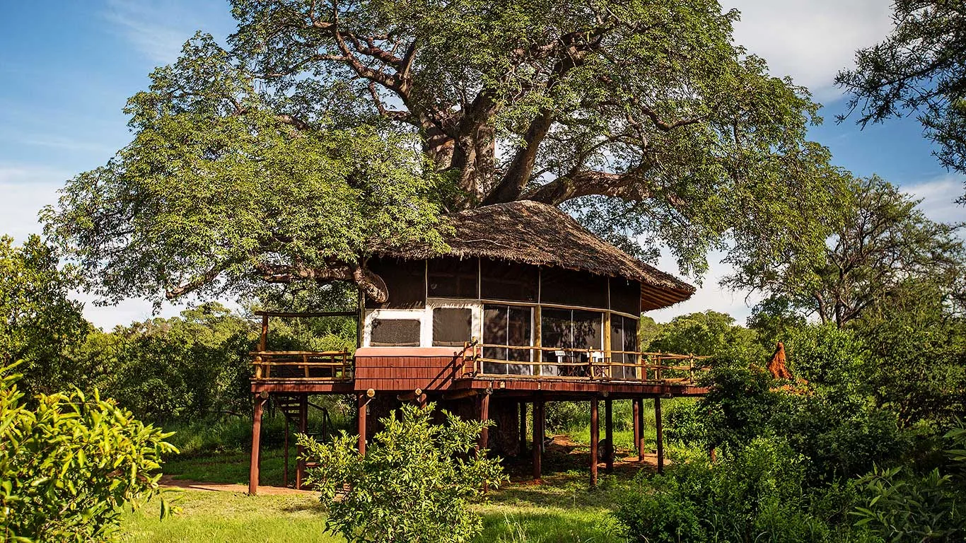 Thatched treehouse suite