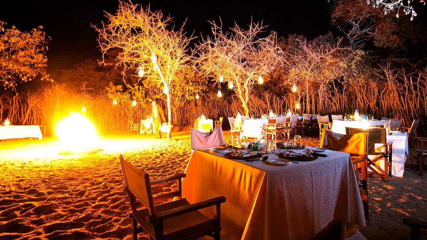 Lantern-lit outdoor dinner