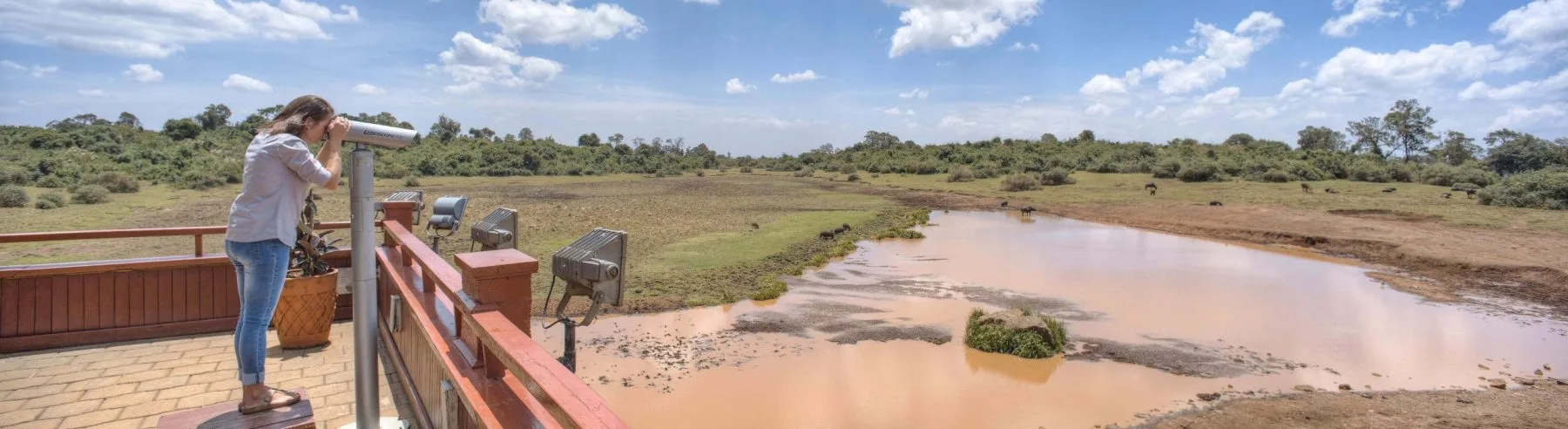 The open-air viewing deck puts guests eye-level with elephants and buffalo below.