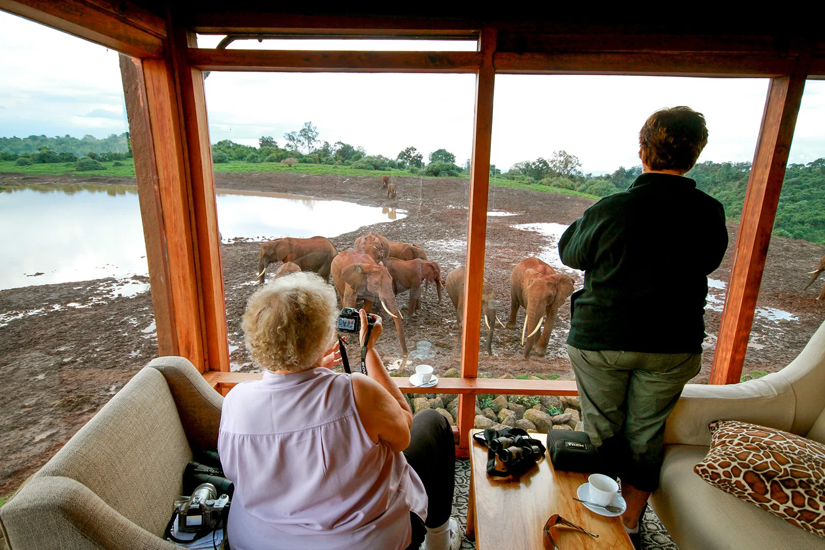Floor-to-ceiling windows bring the waterhole's wildlife right into the lounge.