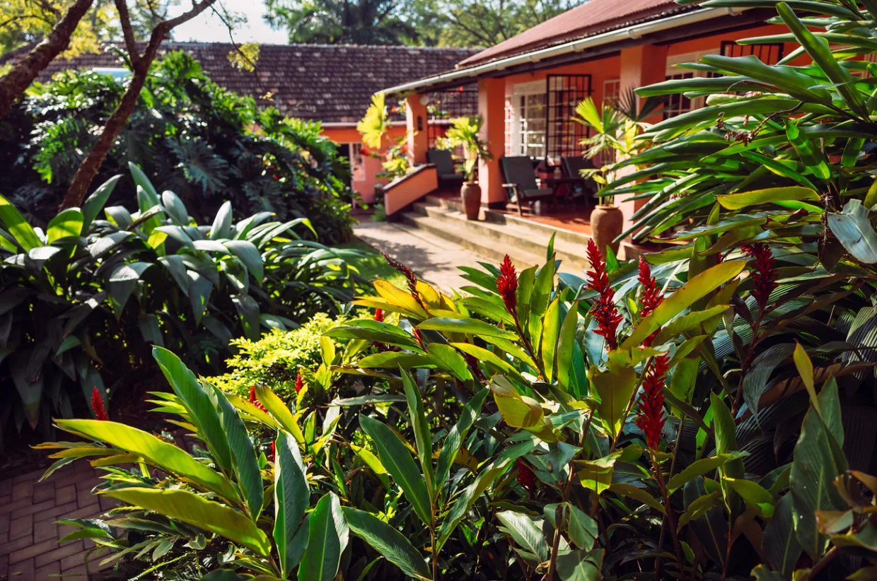 A garden pathway winds through tropical planting to the guest verandas