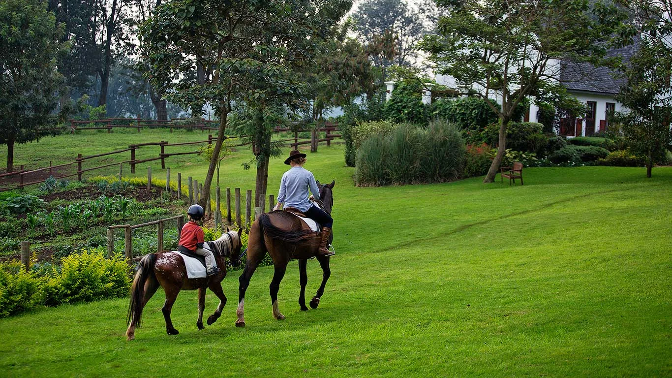 Coffee-estate horse ride