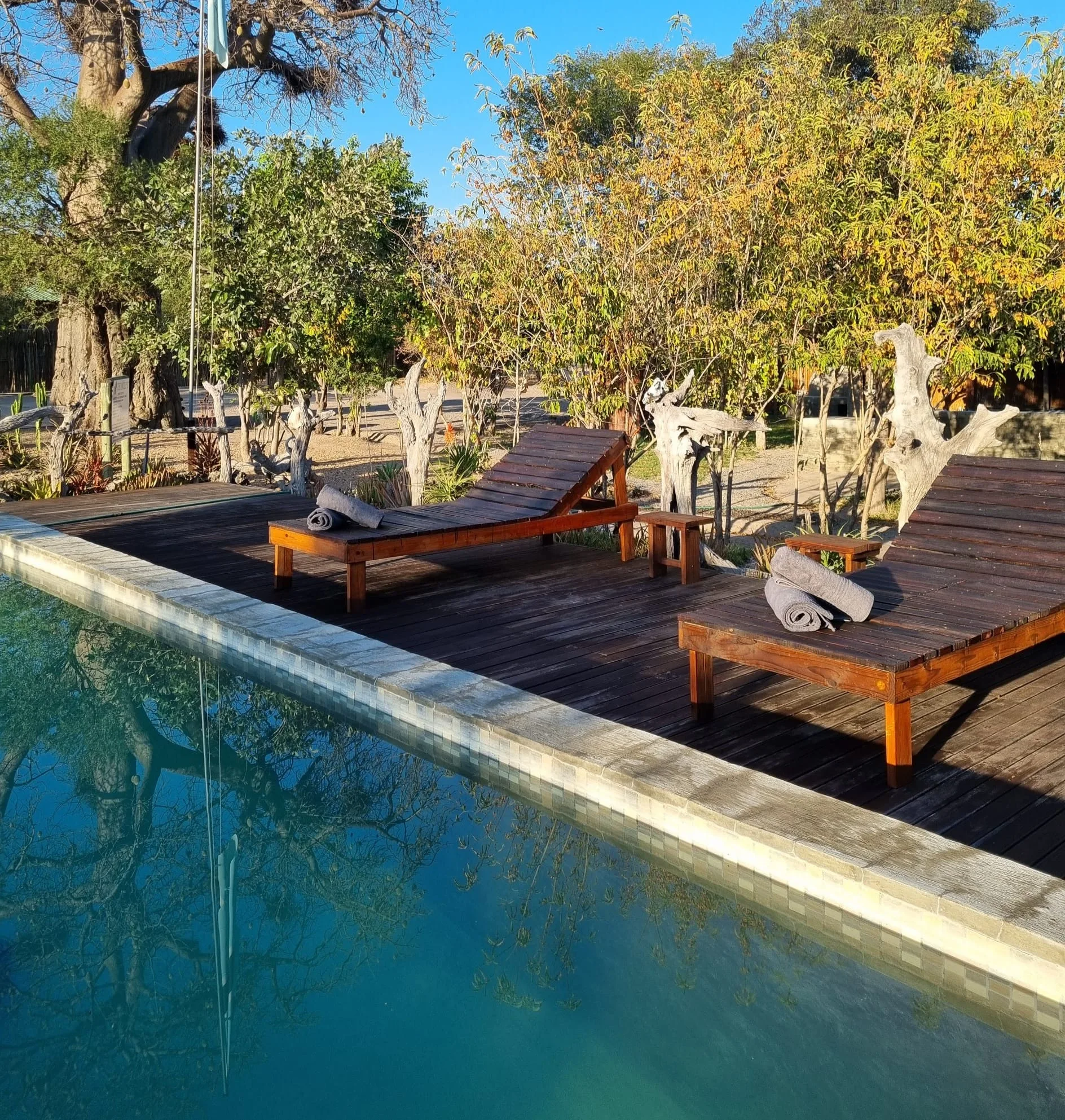 Bush lodge swimming pool