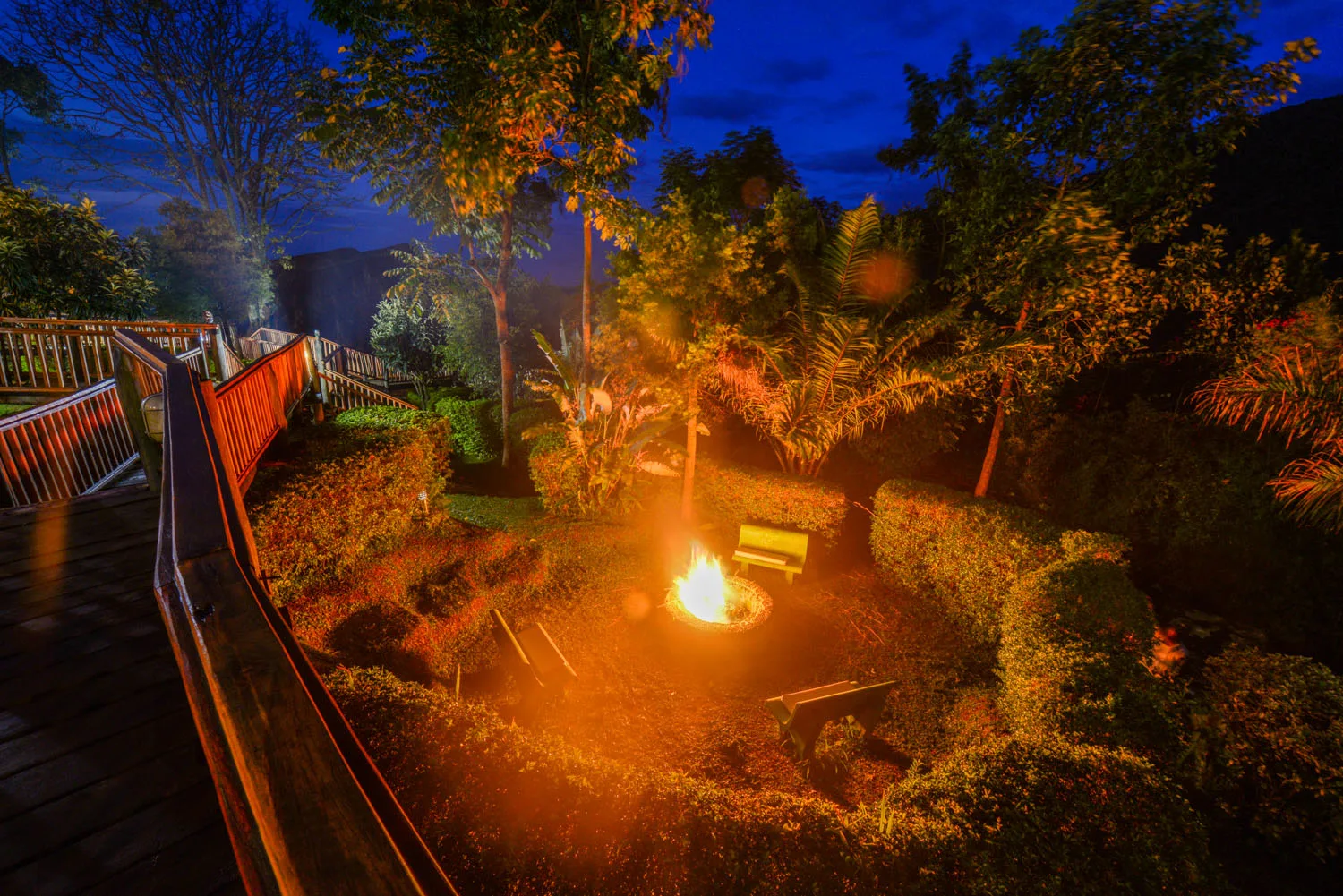 Forest garden fire pit