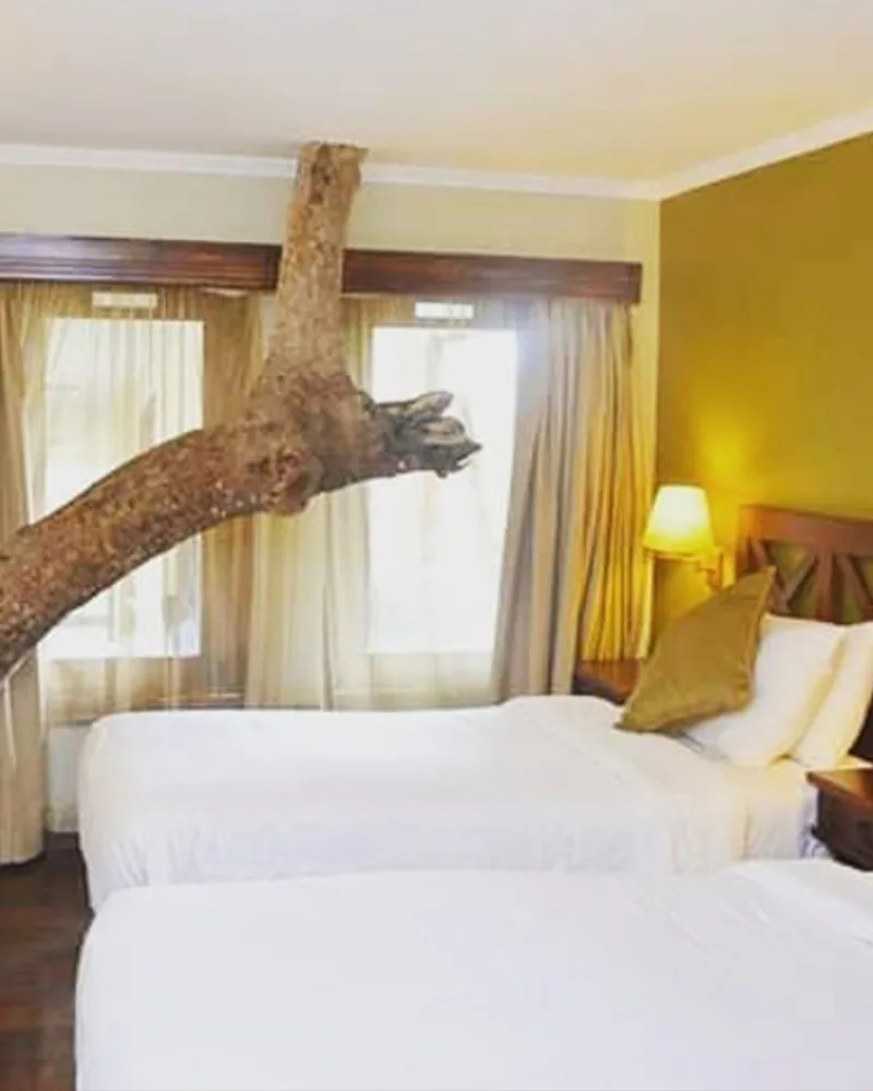 Guest rooms are built into the forest canopy, with a tree trunk growing straight through the décor.