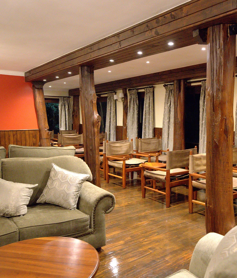 Guests gather for meals and drinks beneath timber beams overlooking the forest.
