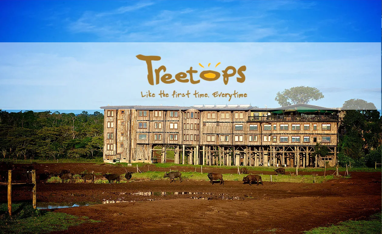 Treetops Lodge