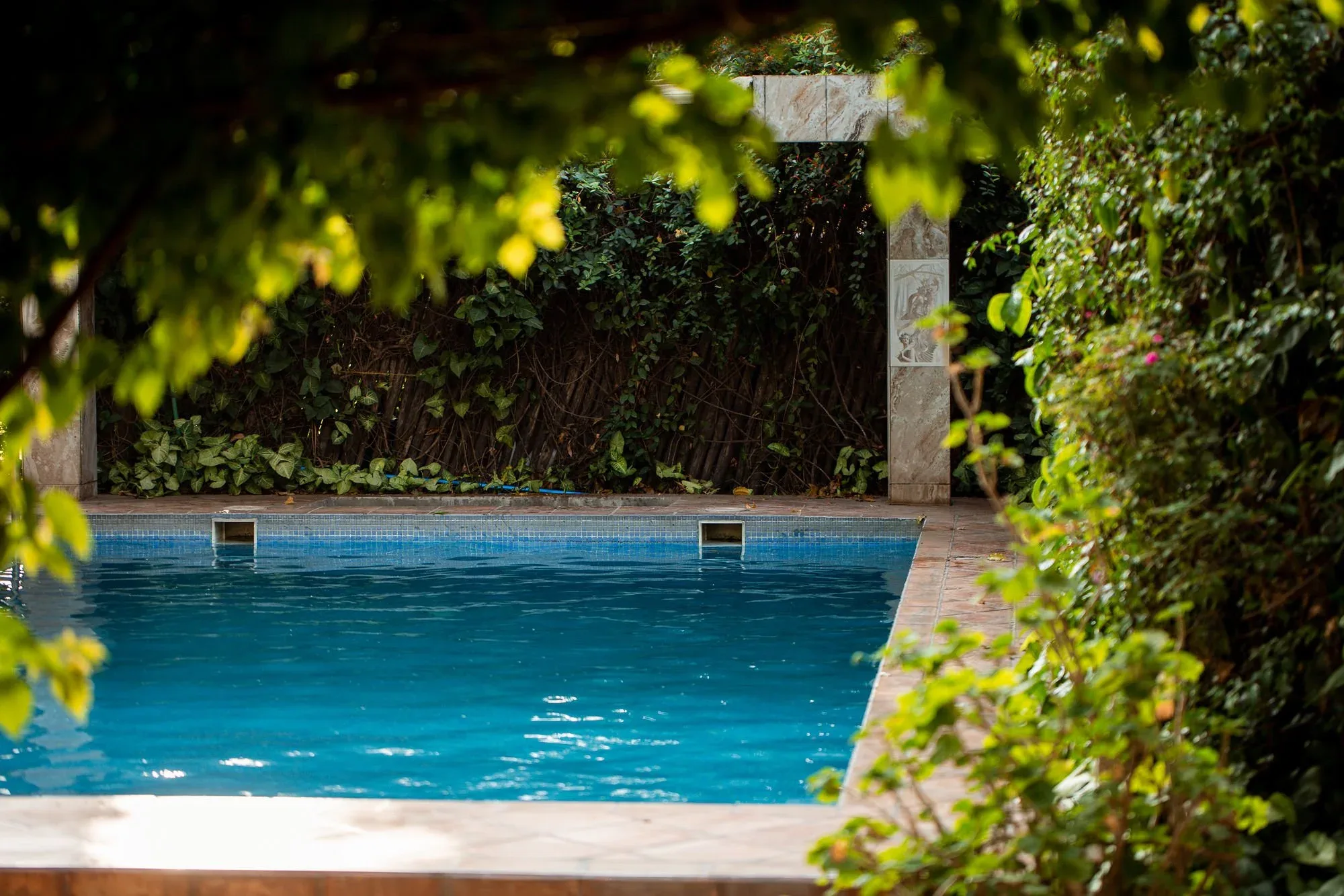 Secluded garden pool