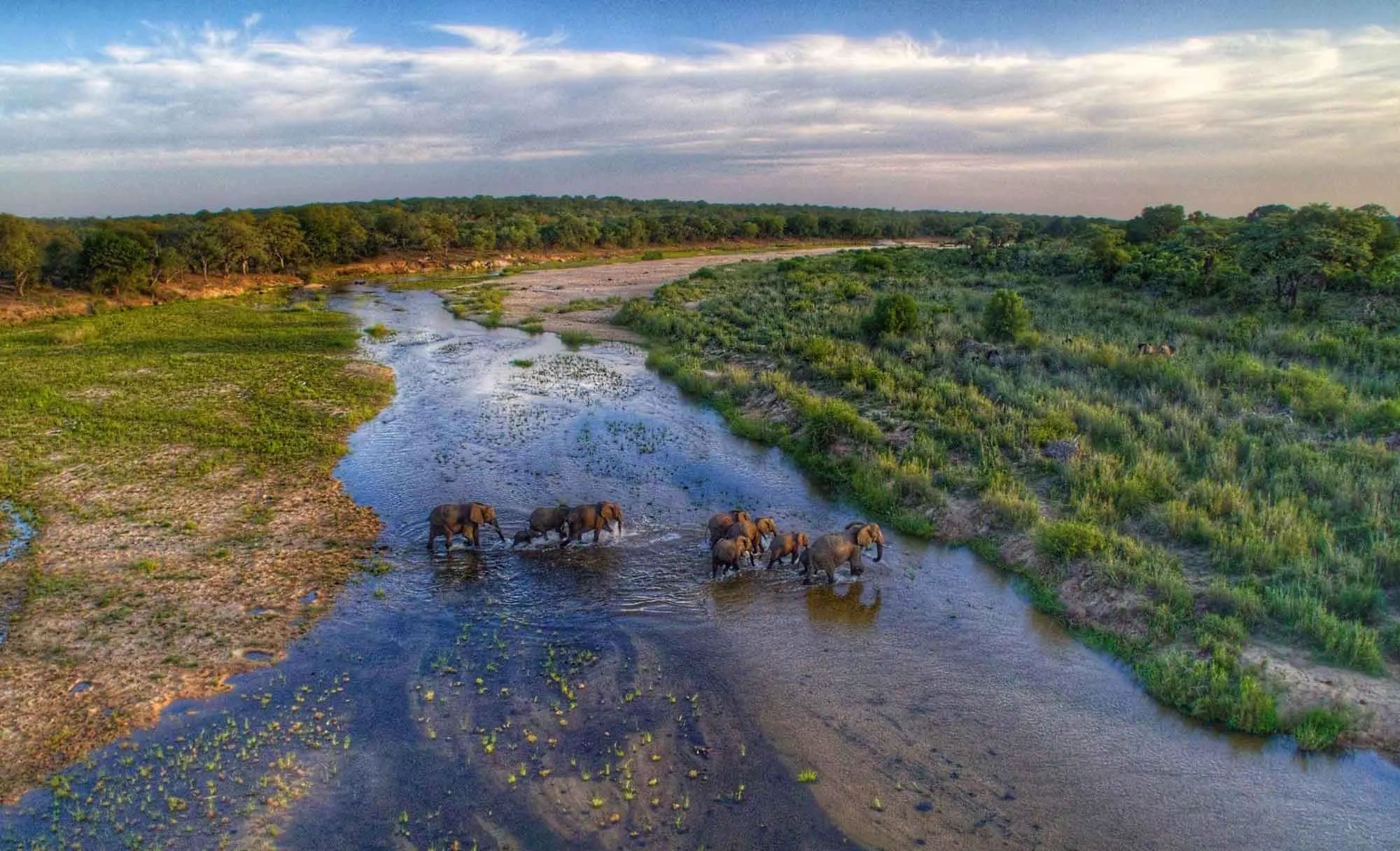 A breeding herd crosses the Sand River, the lifeblood of Umkumbe's private traversing area.