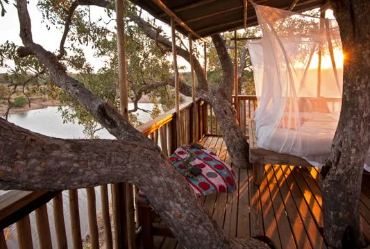 The treehouse sleepout, 2.5km from camp, where guests can drift off under the stars