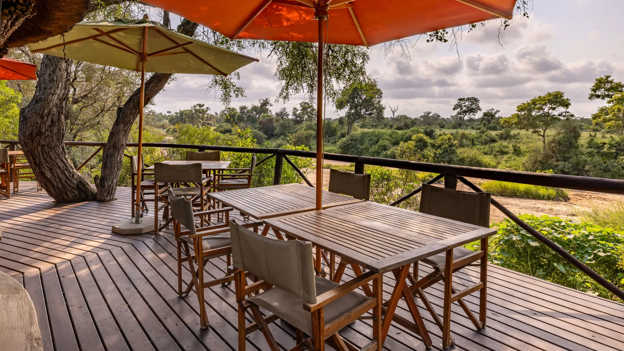 Sweeping bushveld views from the camp's elevated deck