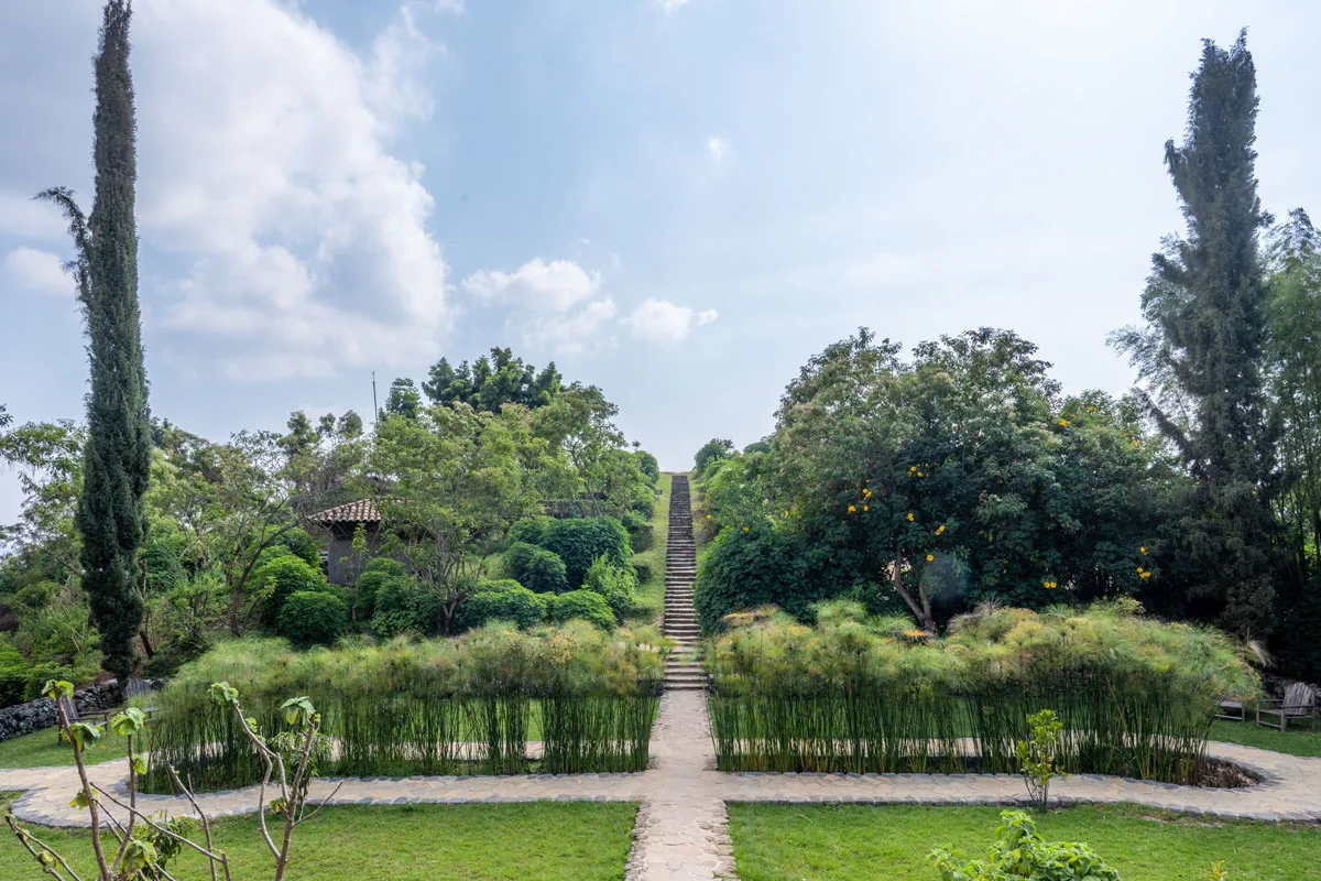 A stepped garden path lined with papyrus reeds climbs through the lodge grounds.