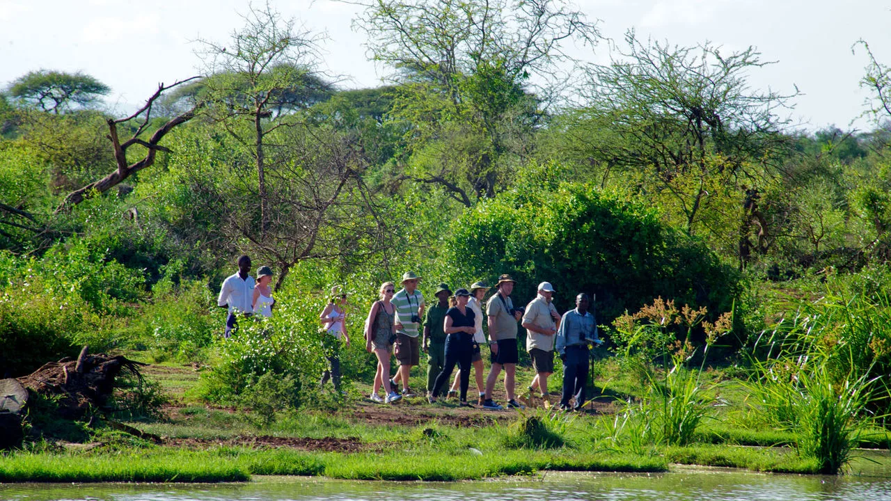 Guided bush walk