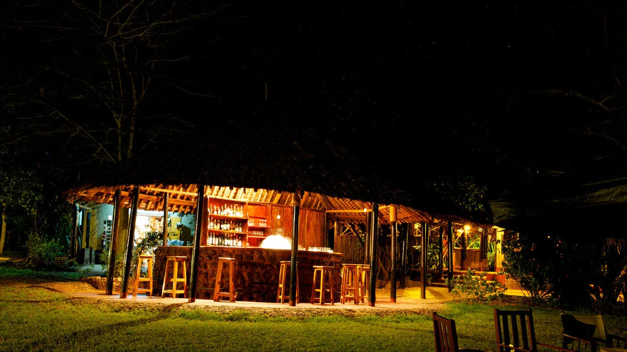 Camp bar at night