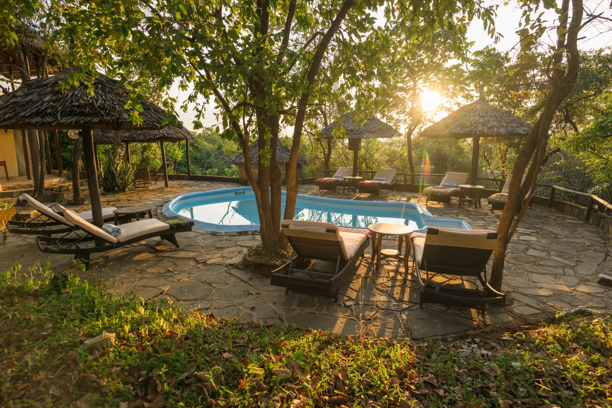 Camp pool beneath the forest canopy
