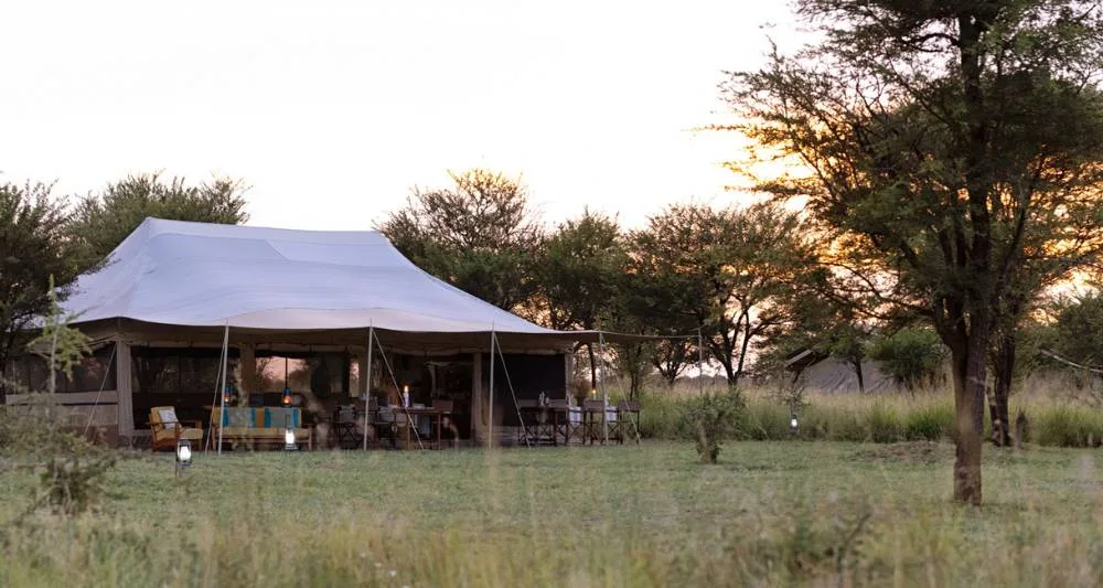 Main guest tent at dusk
