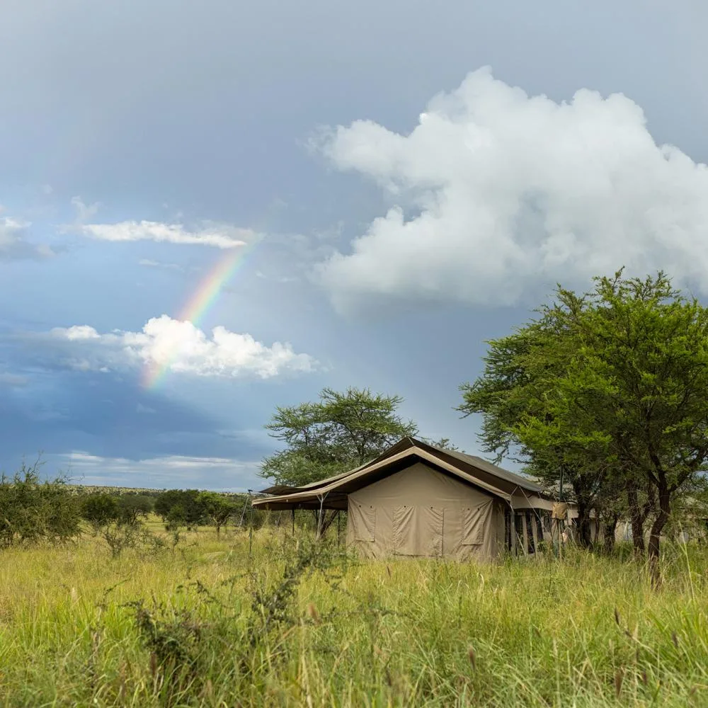 Guest tents in the surrounding grassland