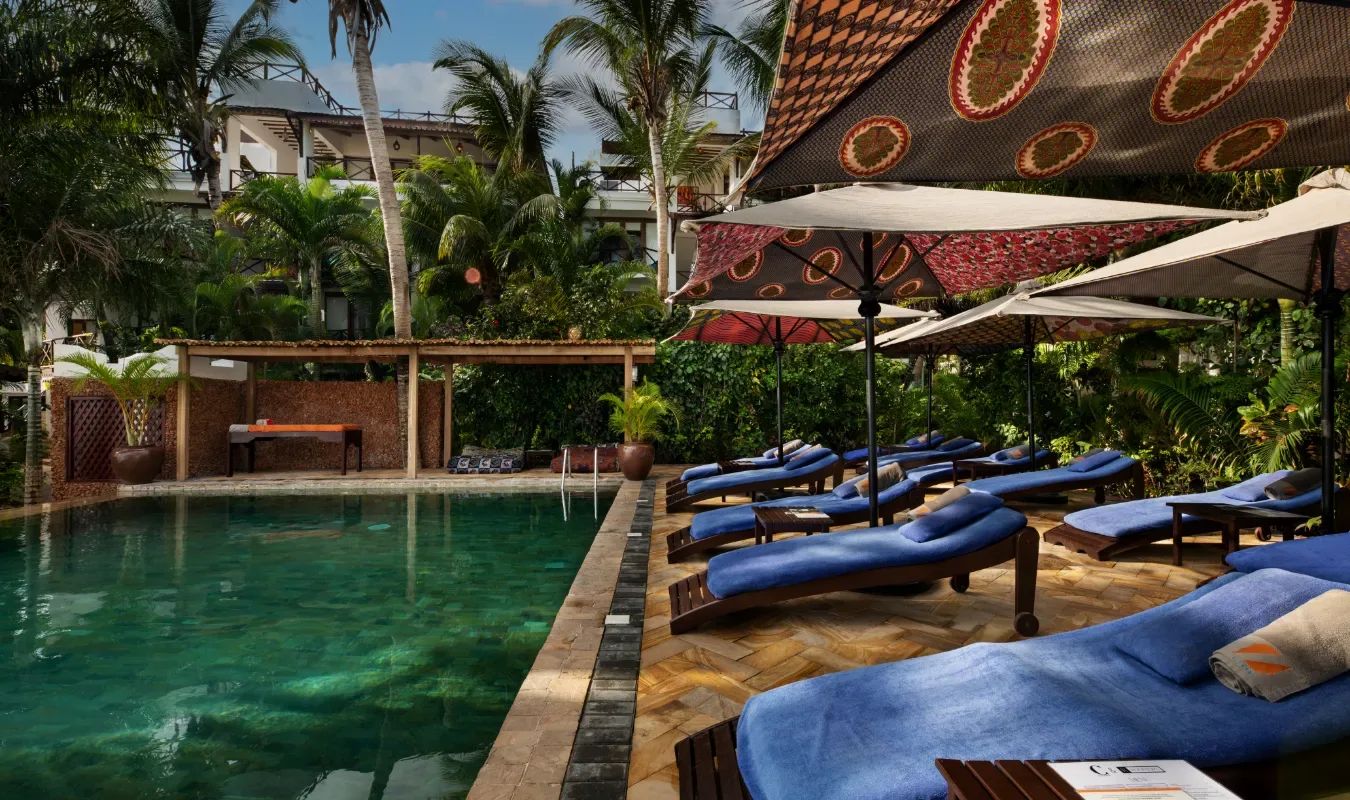 Garden swimming pool