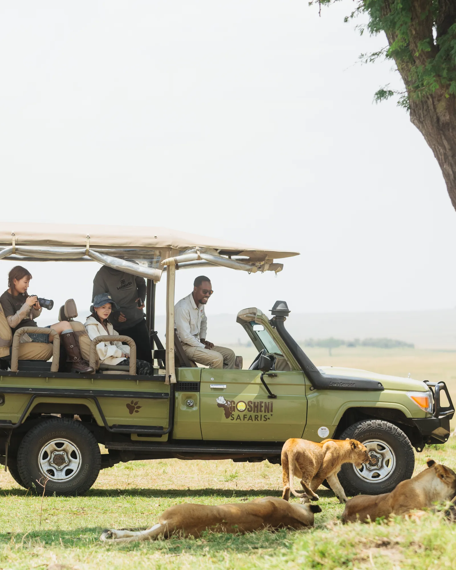 Tanzania Safari Package: 15 Questions to Ask Before You Book