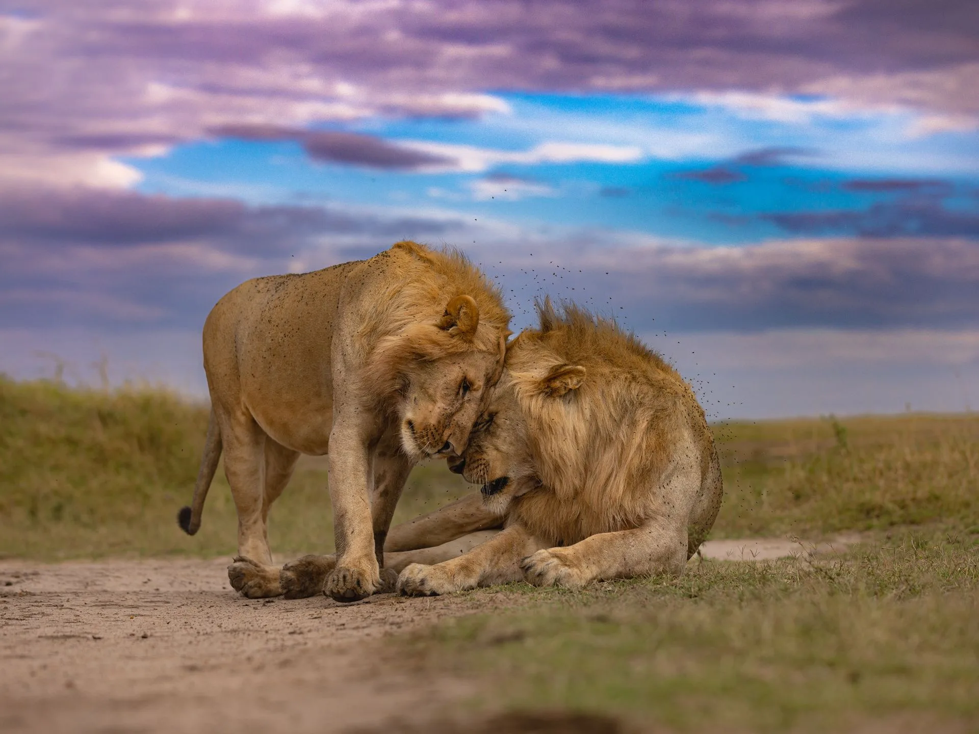 Kenya