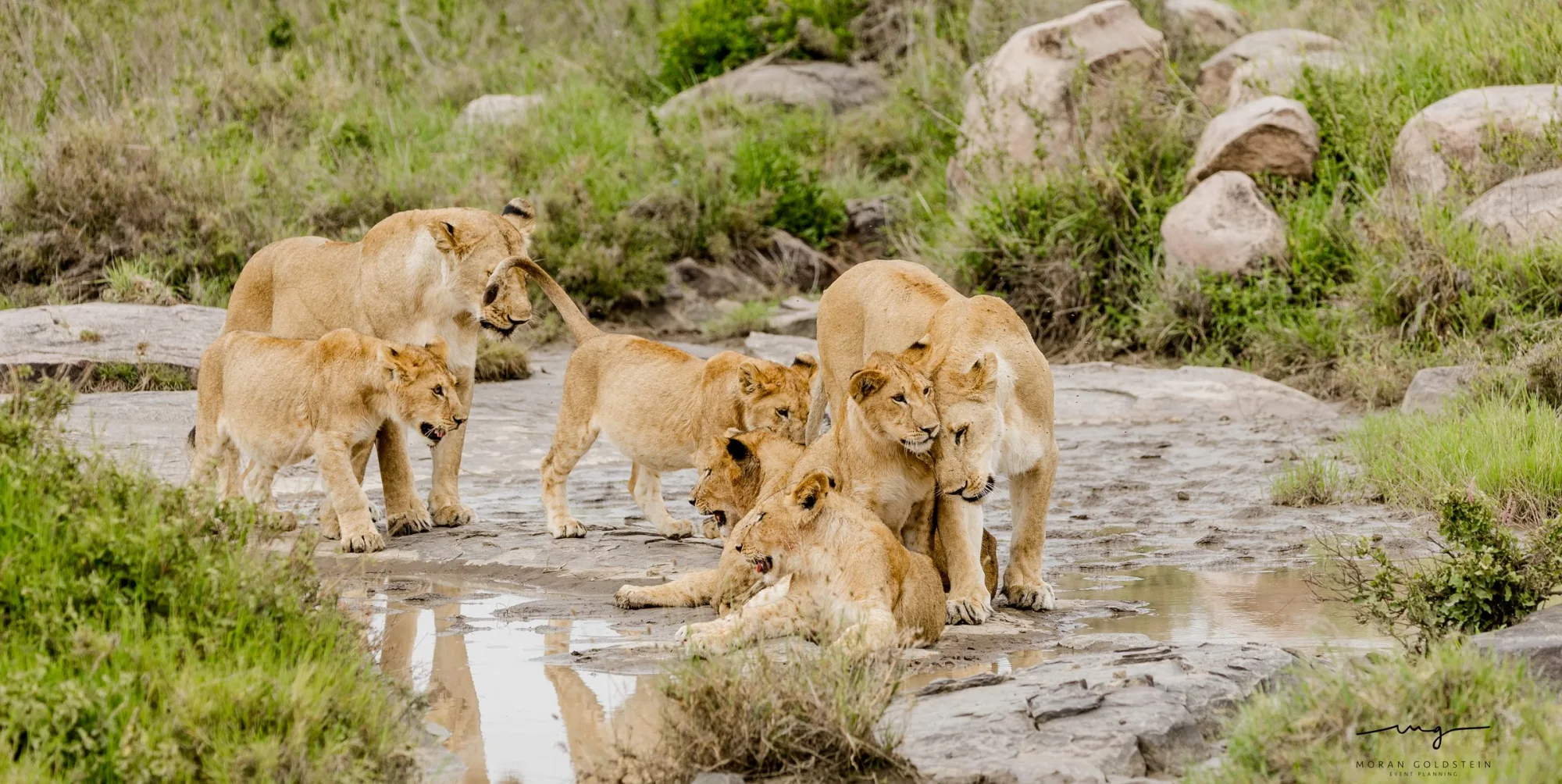 Family at the water