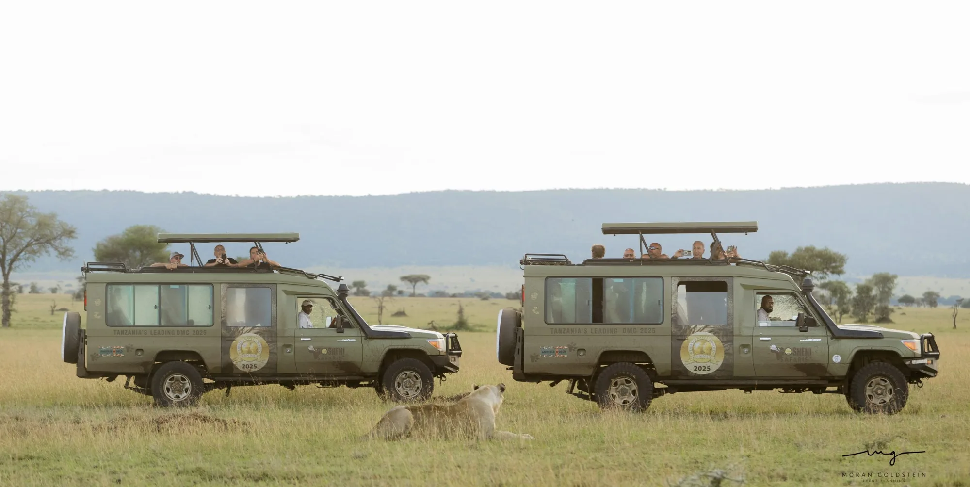 Two vehicles, one sighting