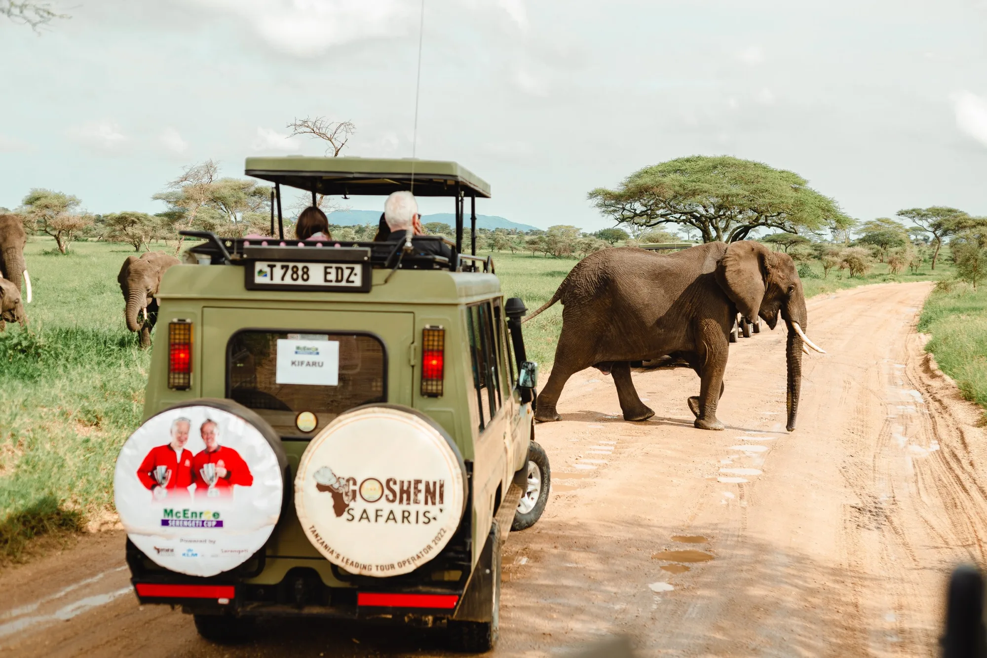 An elephant crossing