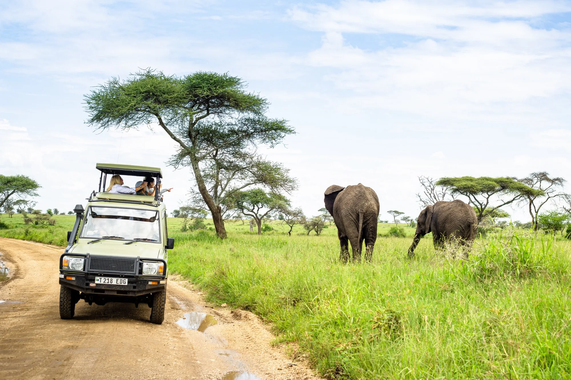 Game drive traffic