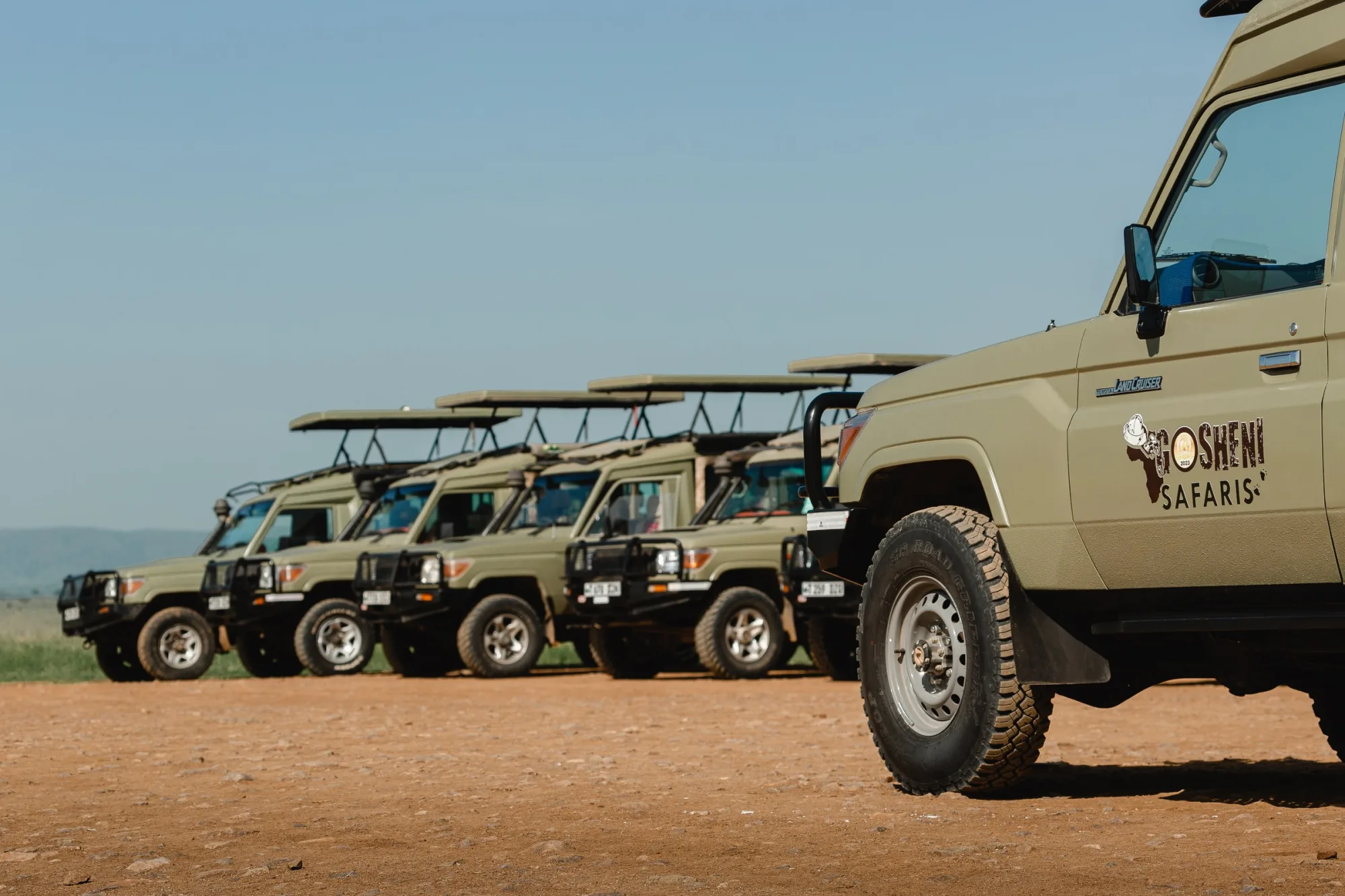 The fleet, ready to go
