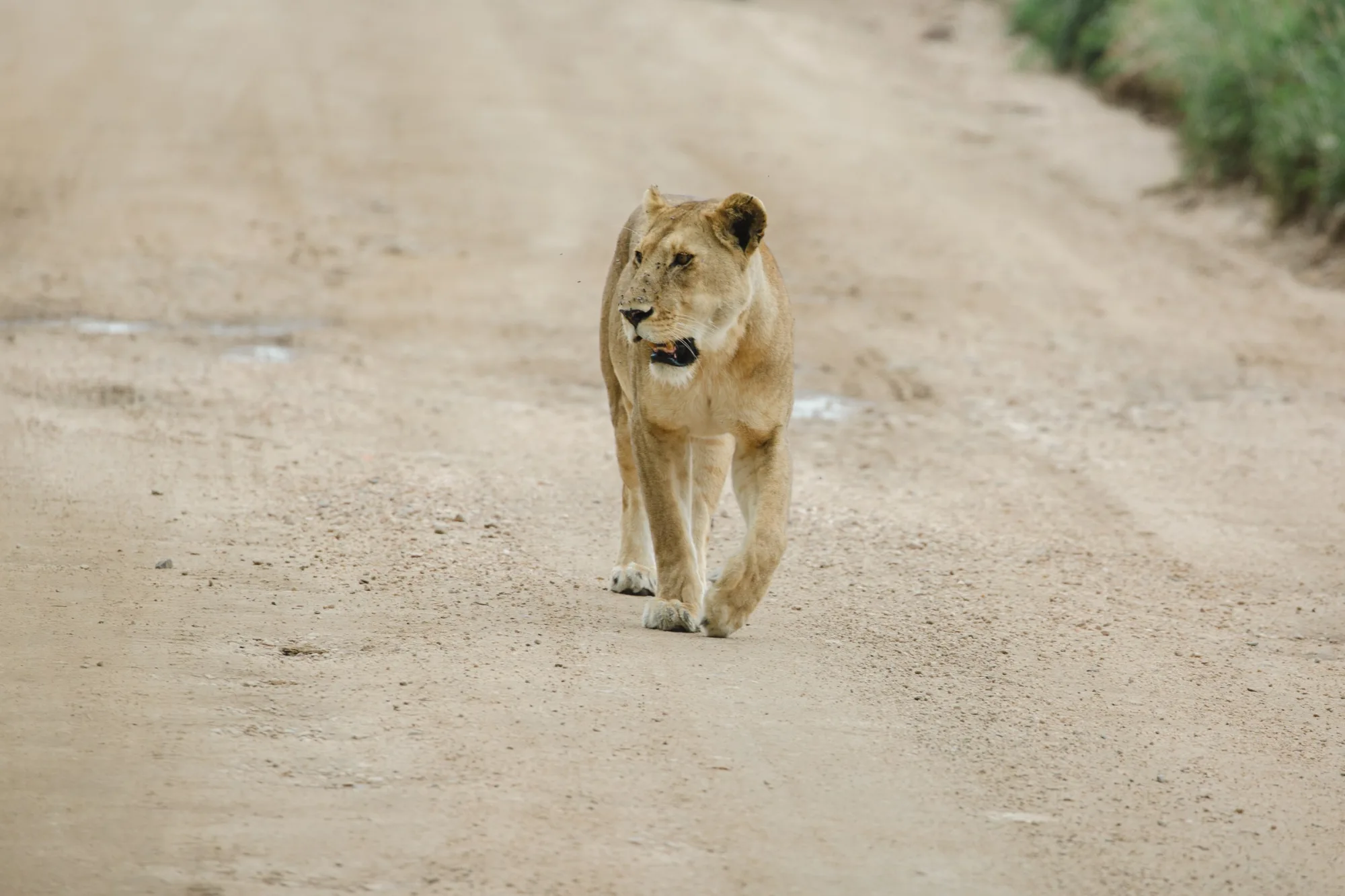 Right of way