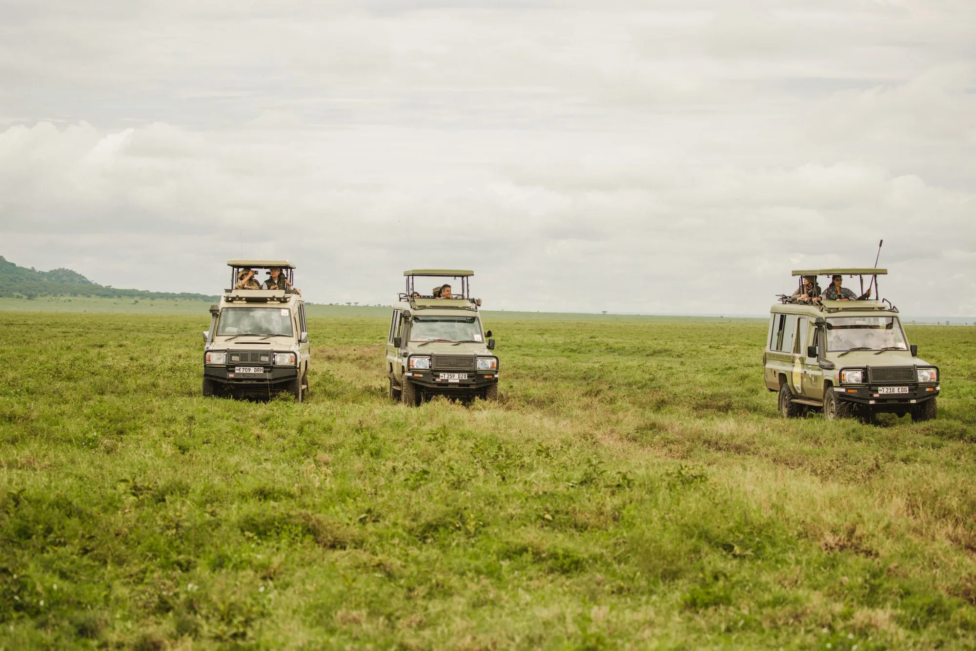 Spread across the plains