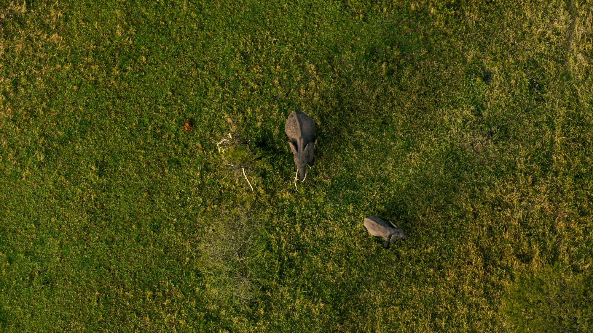 10 Days Tanzania Luxury Sky Safari