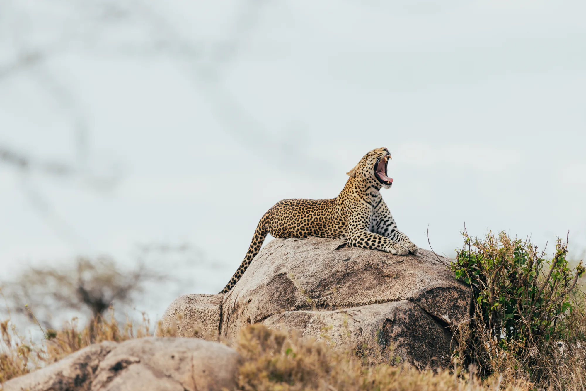 5-Day Tanzania Low Season Safari