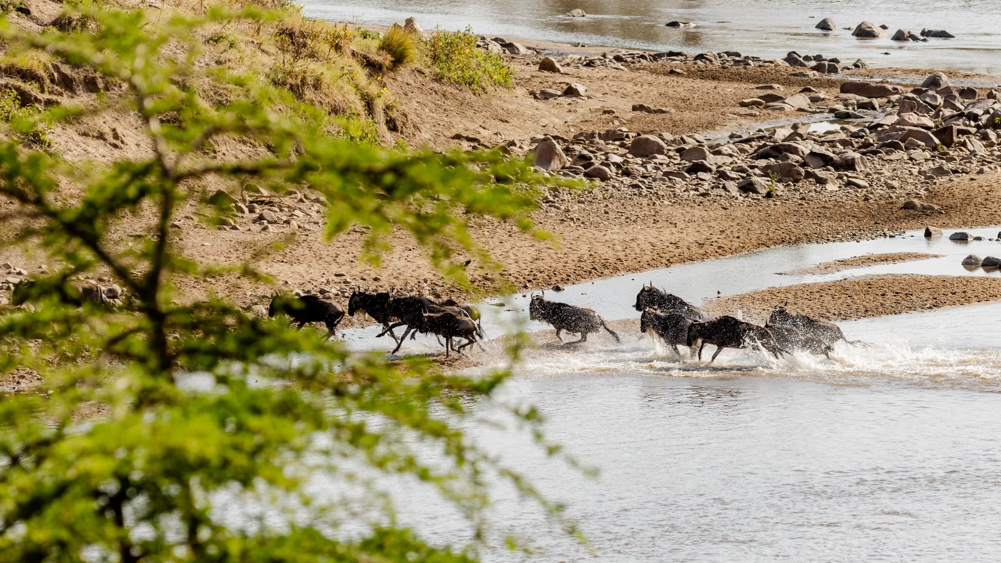 5 Days Serengeti Great Migration Safari