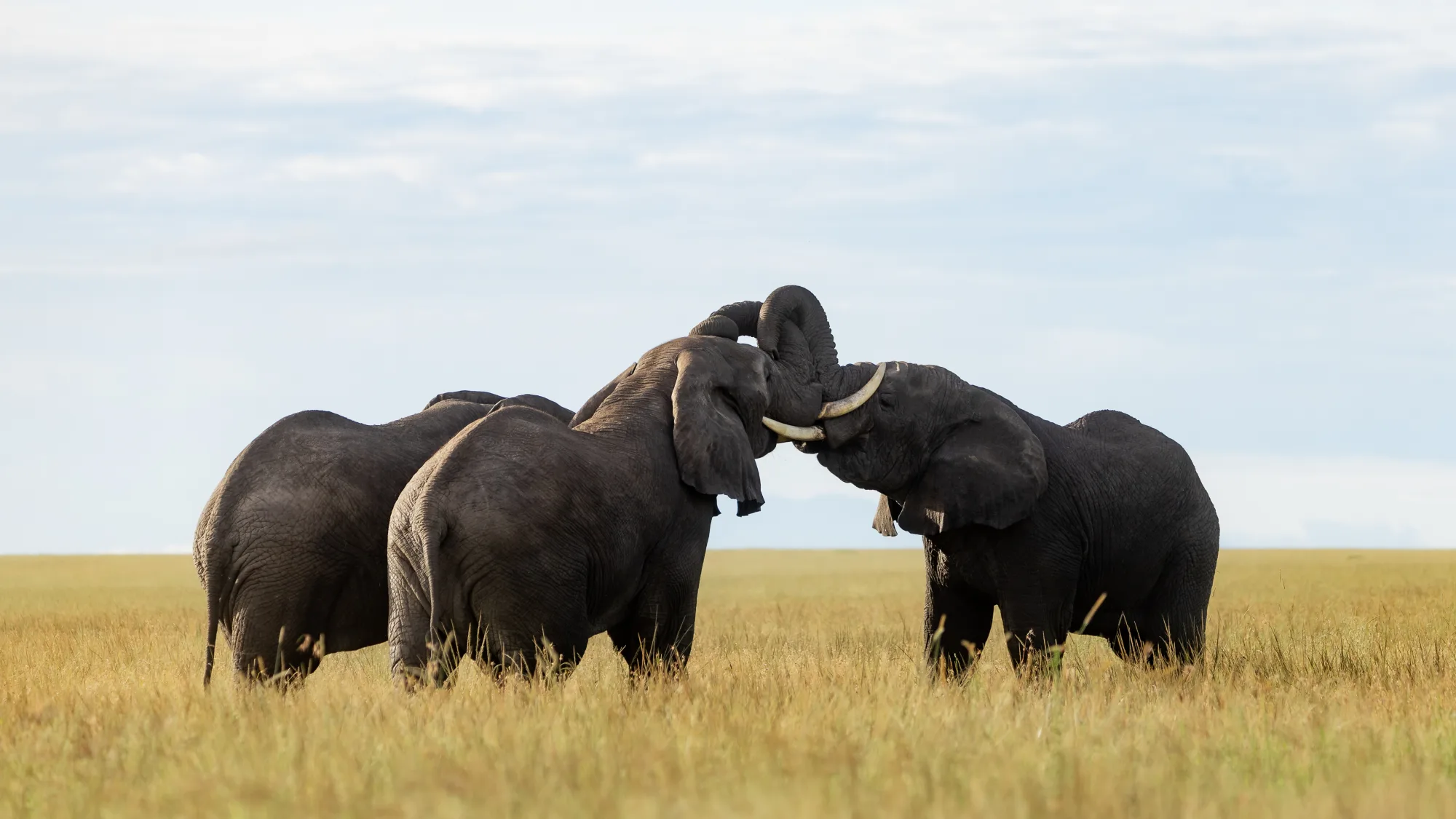 6-Day Tanzania Low Season Safari