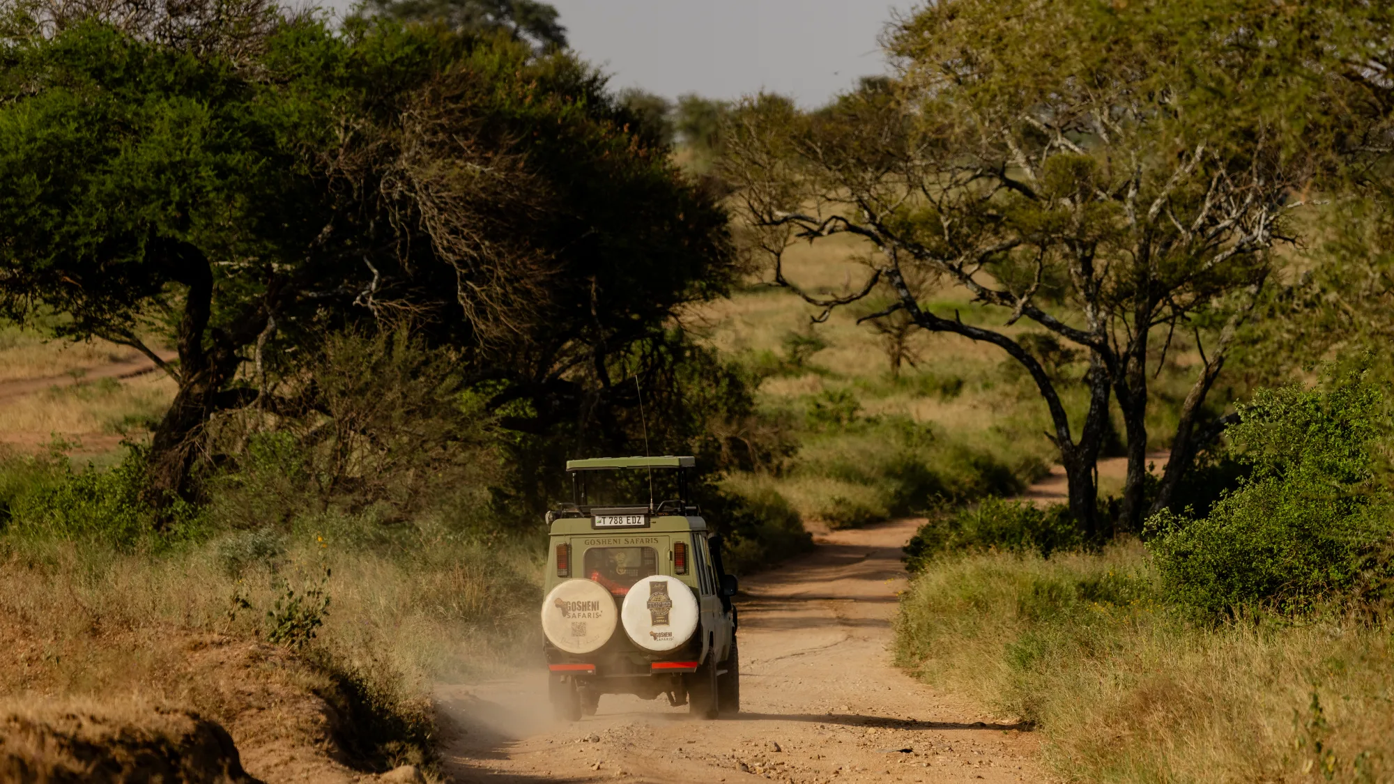6 Days Treasure of Tanzania Safari
