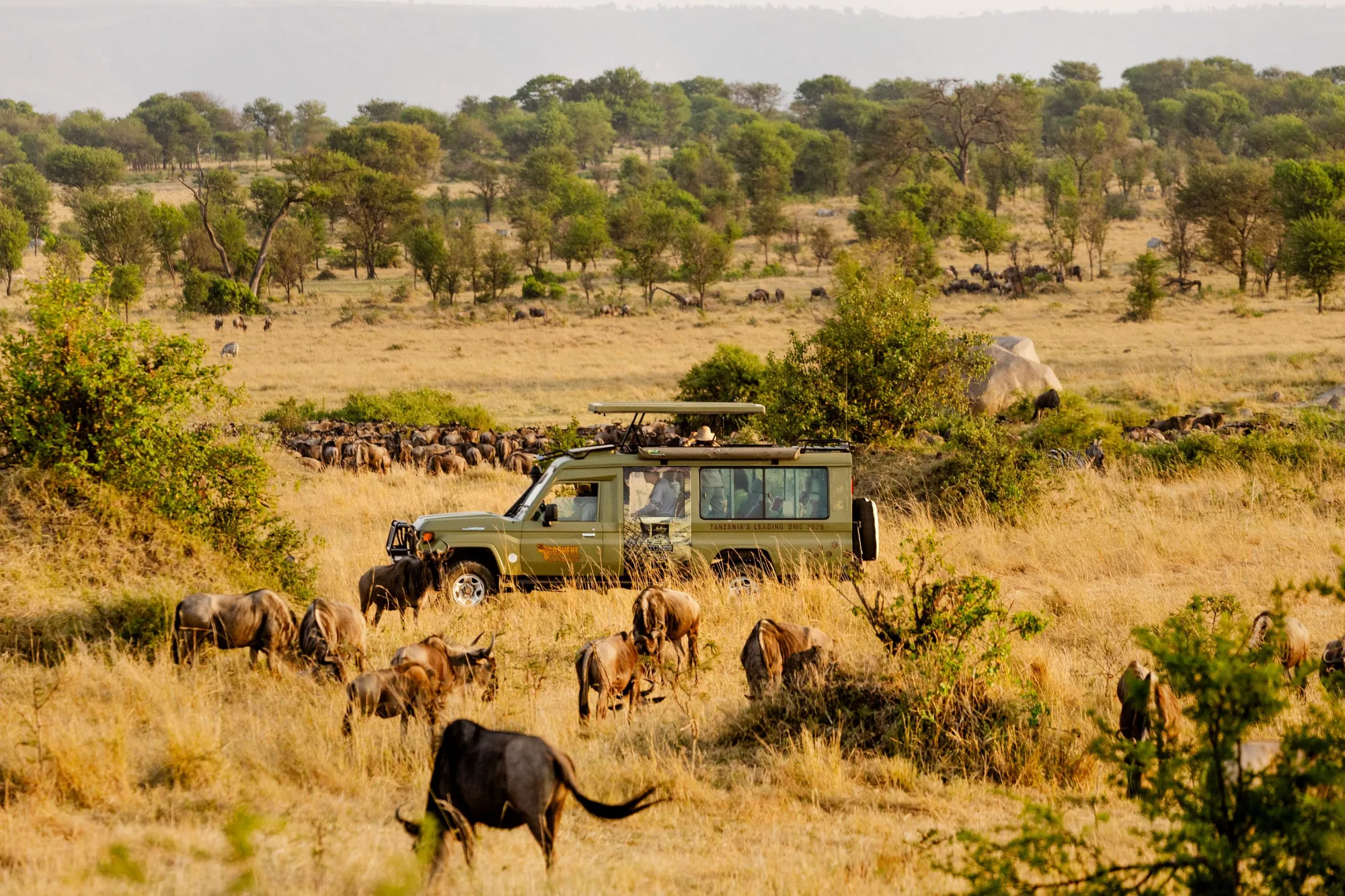 7 Days Tanzania Migration Safari