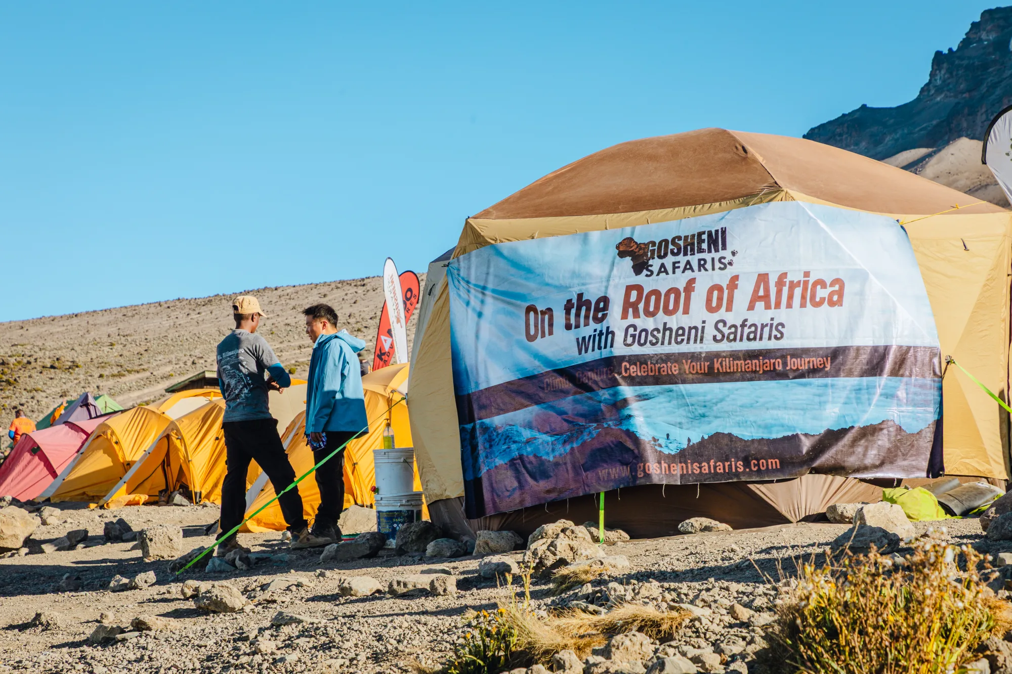 8-Day Lemosho Route Climb