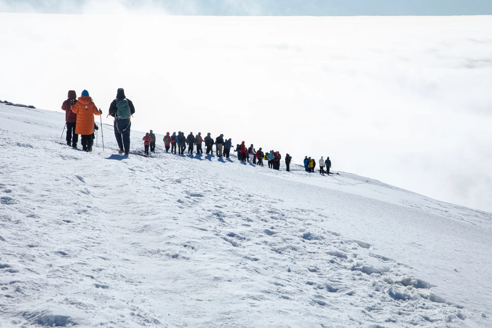 7-Day Machame Route Climb
