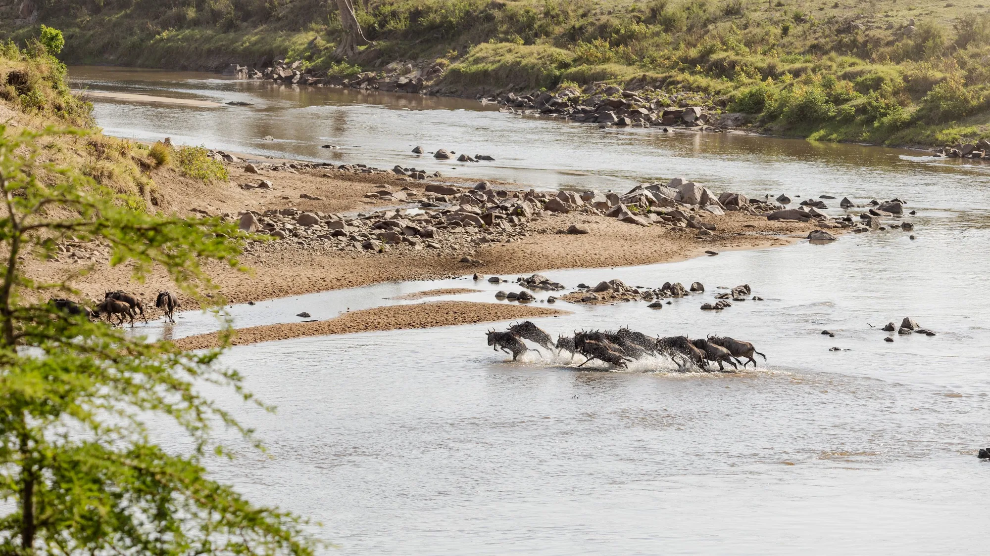 8 Days Tanzania Migration Safari