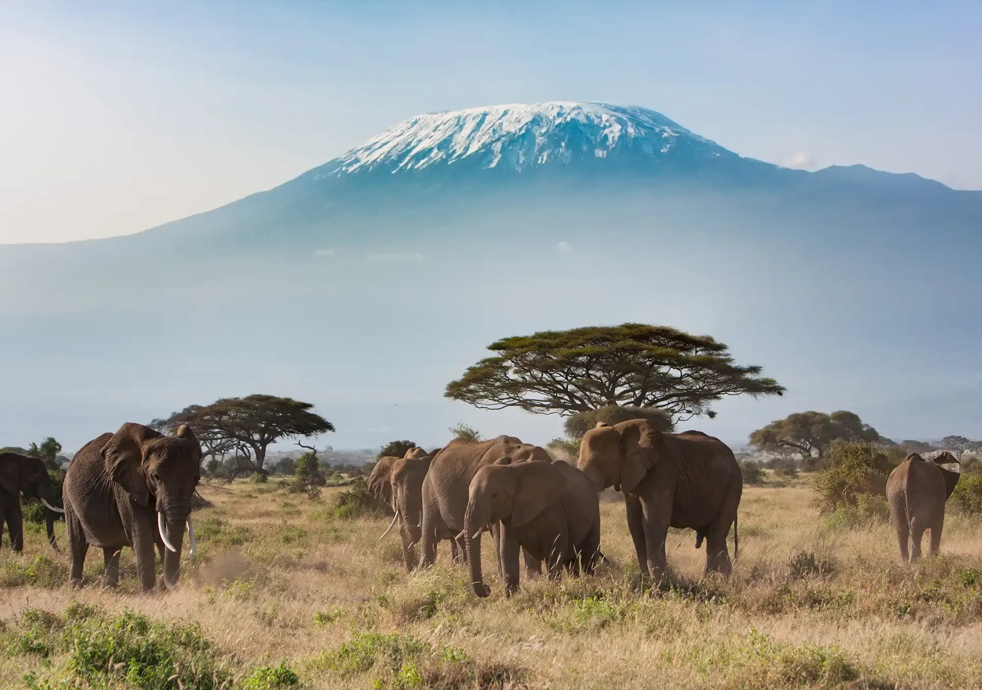 Best Kenya Tours and Safaris for Nature Enthusiasts