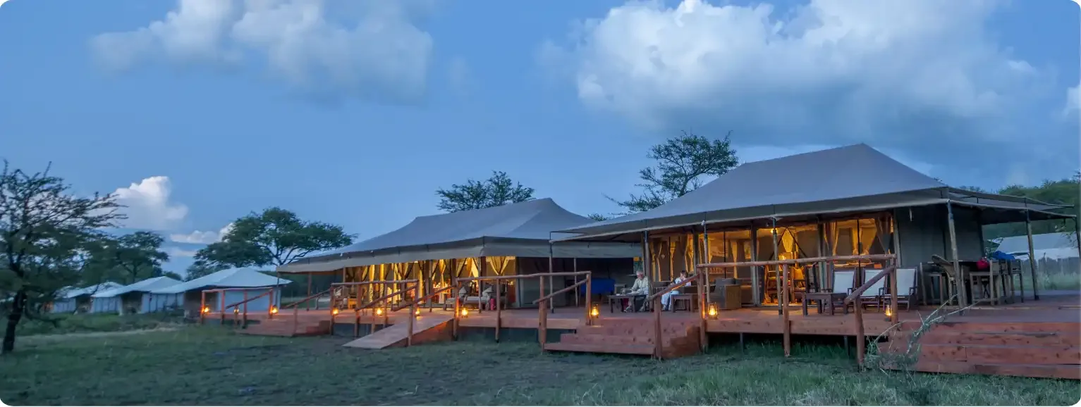 Festive season under canvas