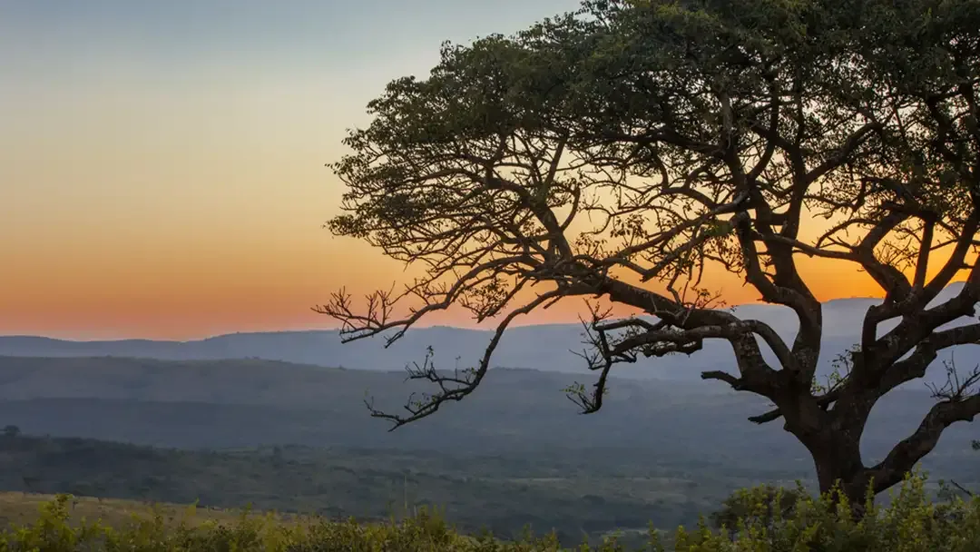 Hluhluwe-Imfolozi Park
