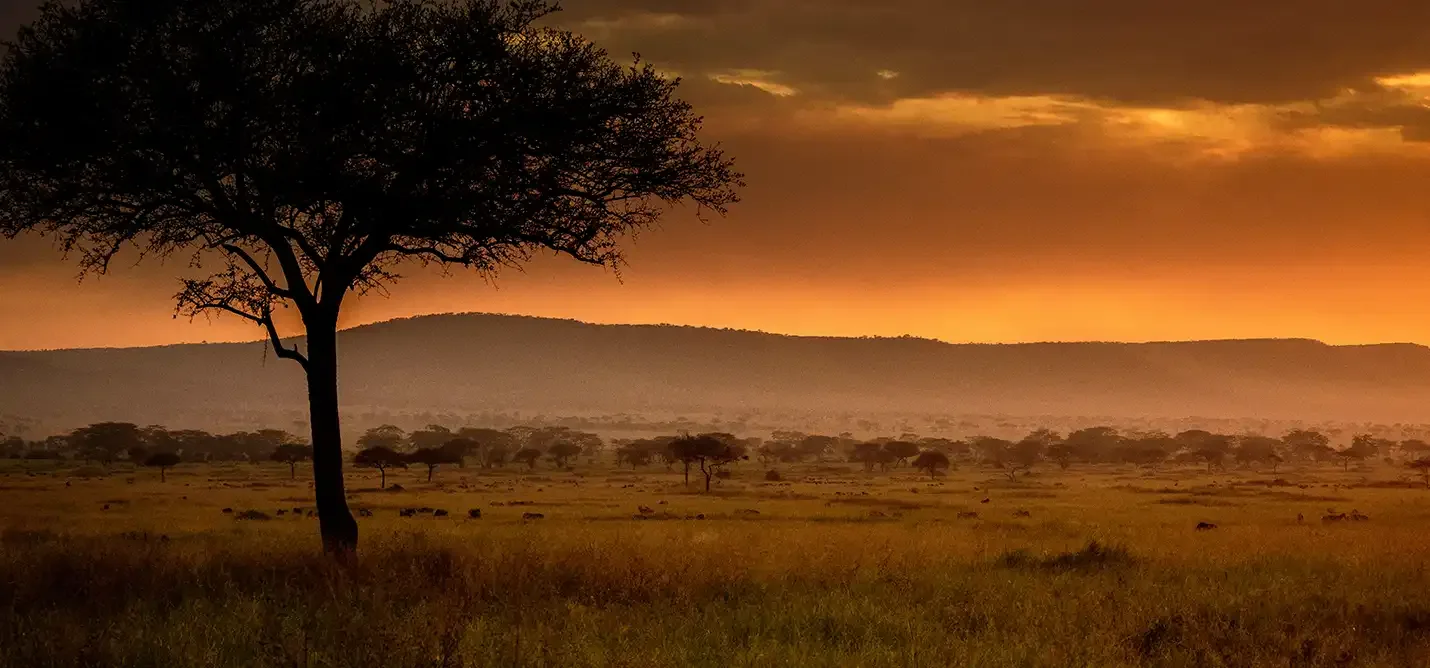 Safari in January