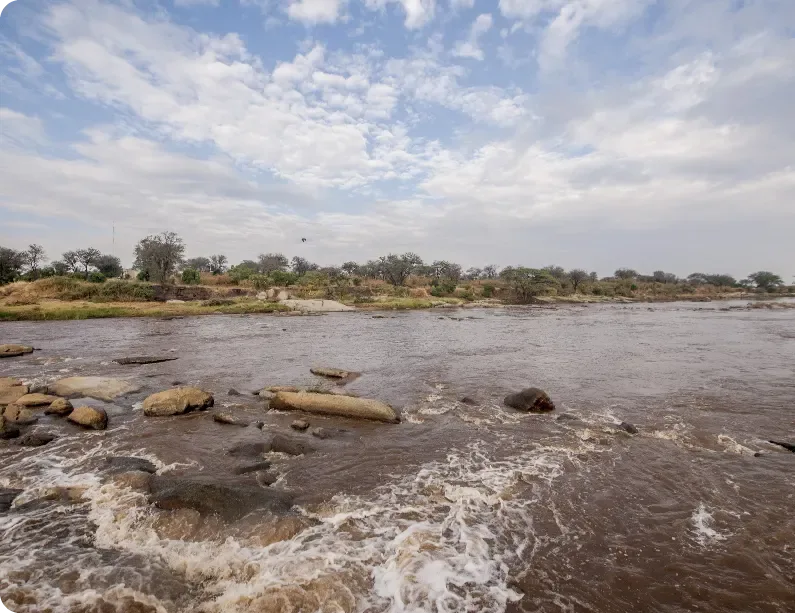Central Serengeti