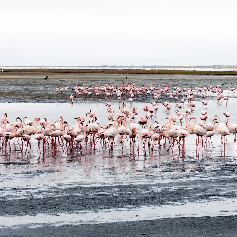 Lake Manyara National Park