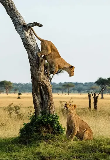 Queen Elizabeth National Park