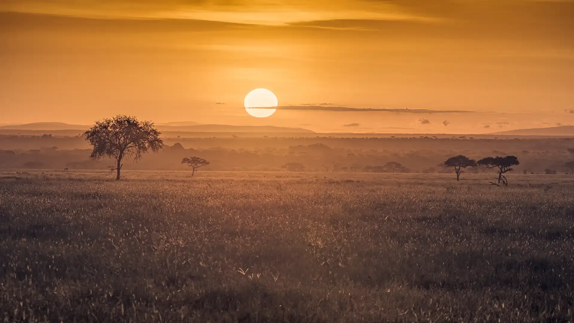 Green season photography