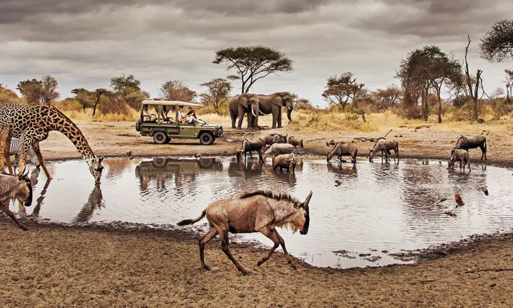 10 facts about Serengeti national park x