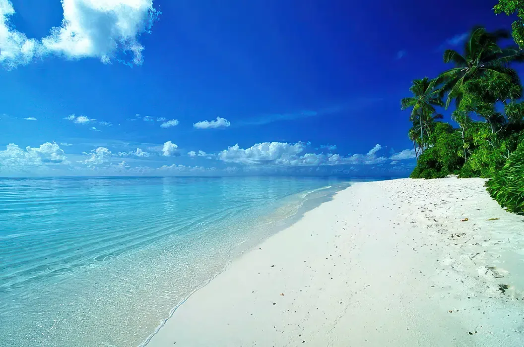 Palm shade and calm turquoise water along the white sand of Bwejuu beach, Zanzibar.